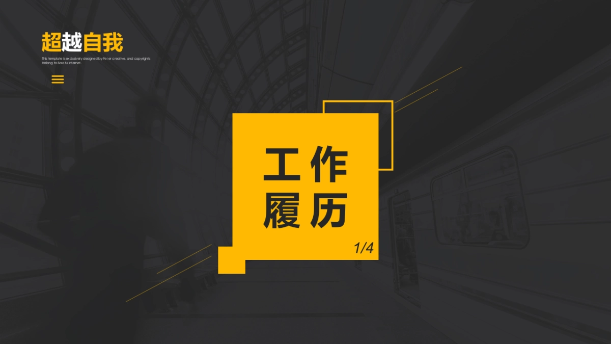 (2)作品简历_第9页