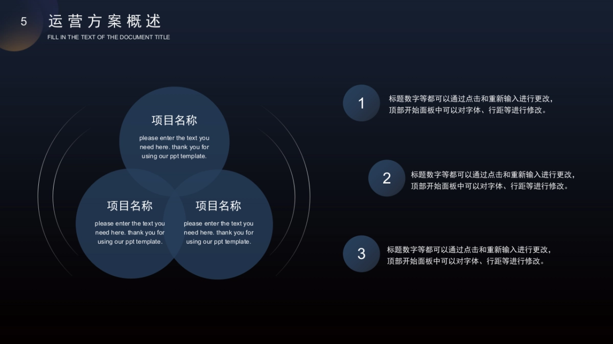 PPT模板 (30)_第5页
