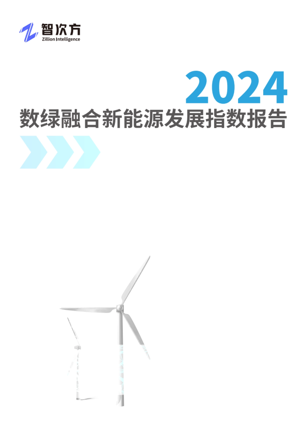 智次方：2024数绿融合新能源发展指数报告_第1页