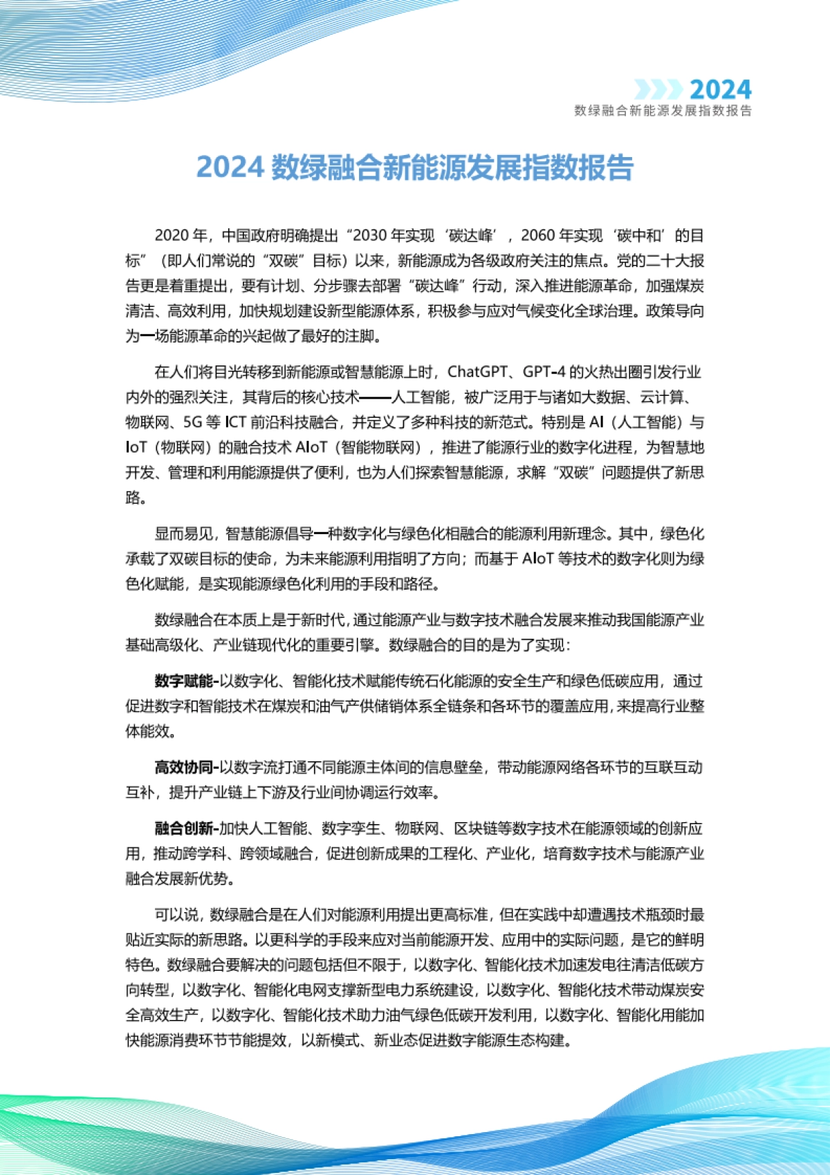 智次方：2024数绿融合新能源发展指数报告_第2页