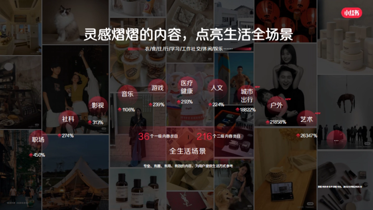 小红书大健康行业营销解决通案_第8页