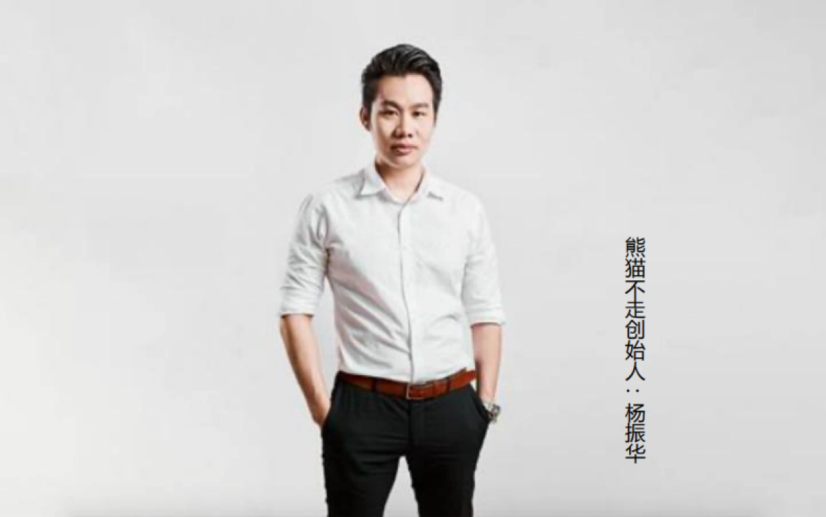 熊猫不走营销4P复盘_第3页