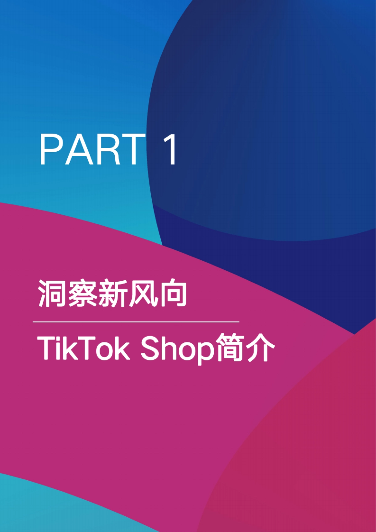 易仓科技：多平台运营白皮书-TikTok Shop专题_第4页