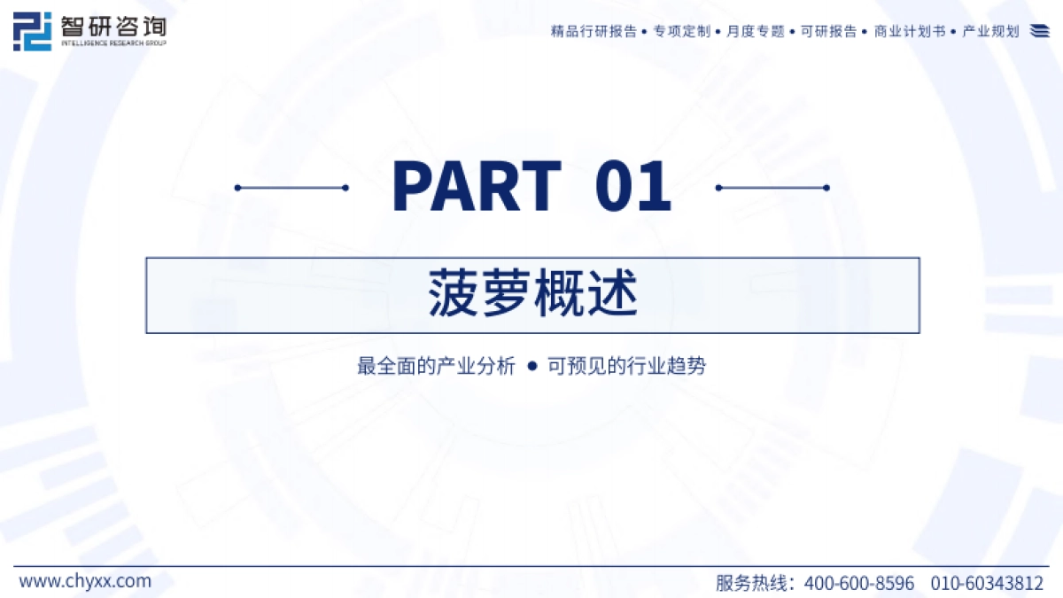 智研咨询：2023年中国菠萝产业现状及发展前景分析研究报告_第3页