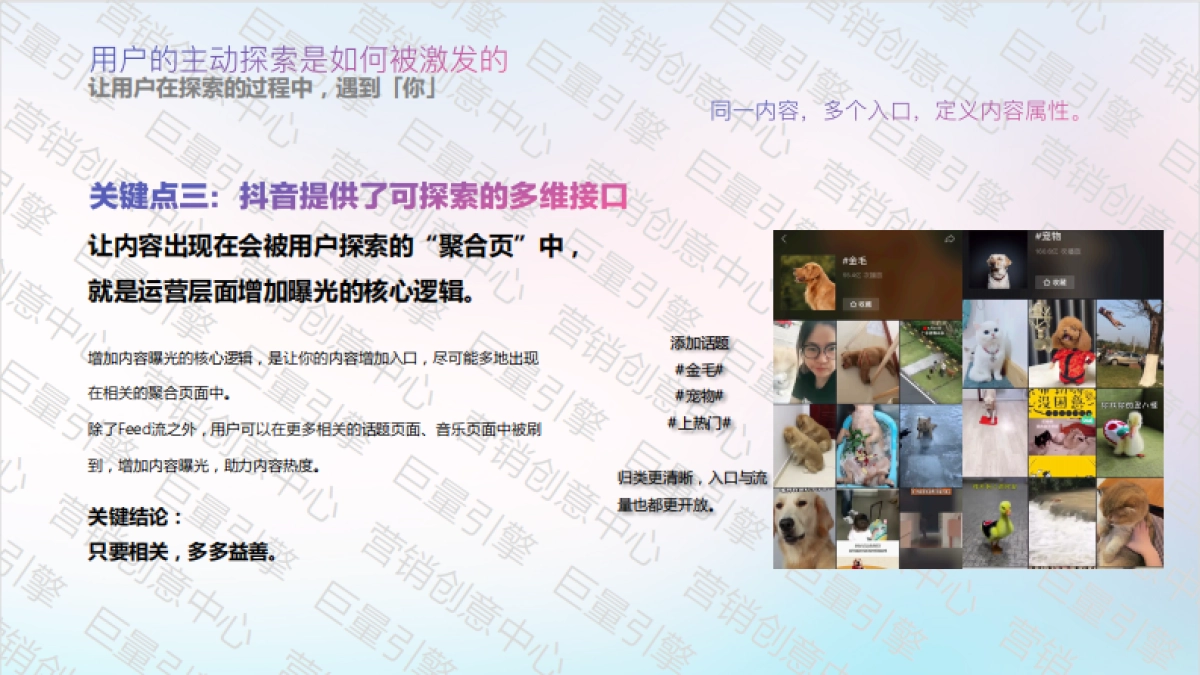 抖音蓝V运营如何实现更多曝光？_第8页