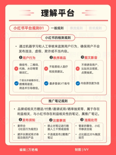 小红书运营小红书IP知识地图2024
