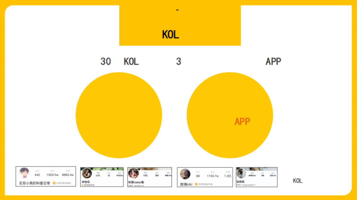 农夫山泉17.5°京东大牌风暴_第4页