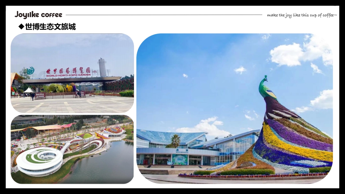 JOYIIKE COFFEE商务合作_第8页