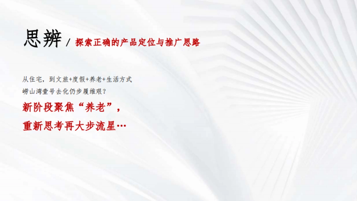 文旅康养项目阶段执行推广策划案_第2页