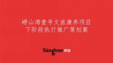 文旅康养项目阶段执行推广策划案