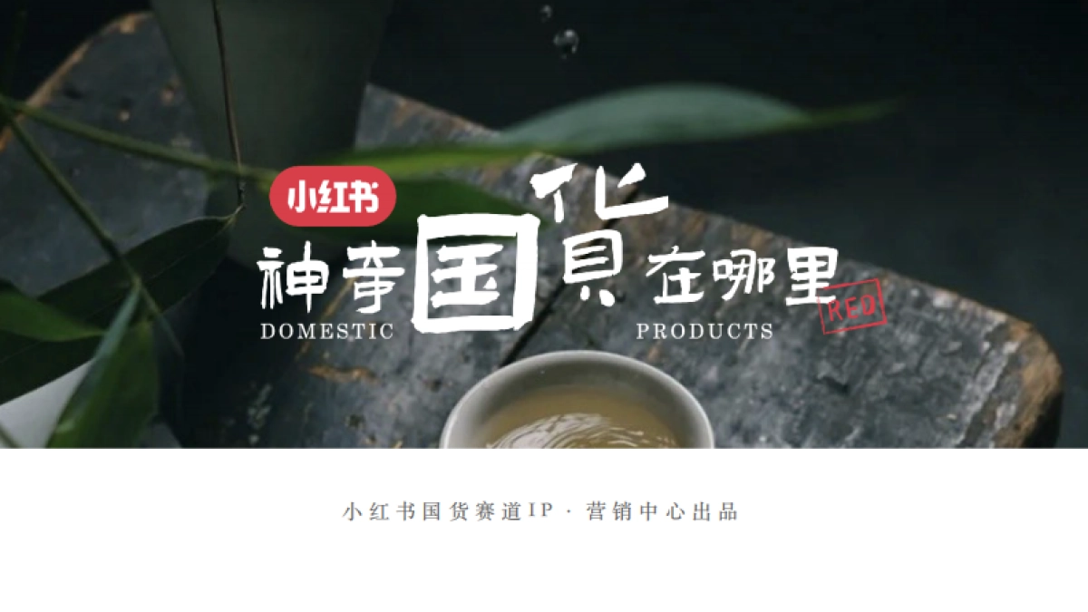 小红书《神奇国货在哪里》项目通案_第1页