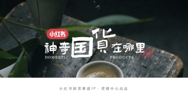 小红书《神奇国货在哪里》项目通案