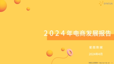 星图数据：2024年电商发展报告