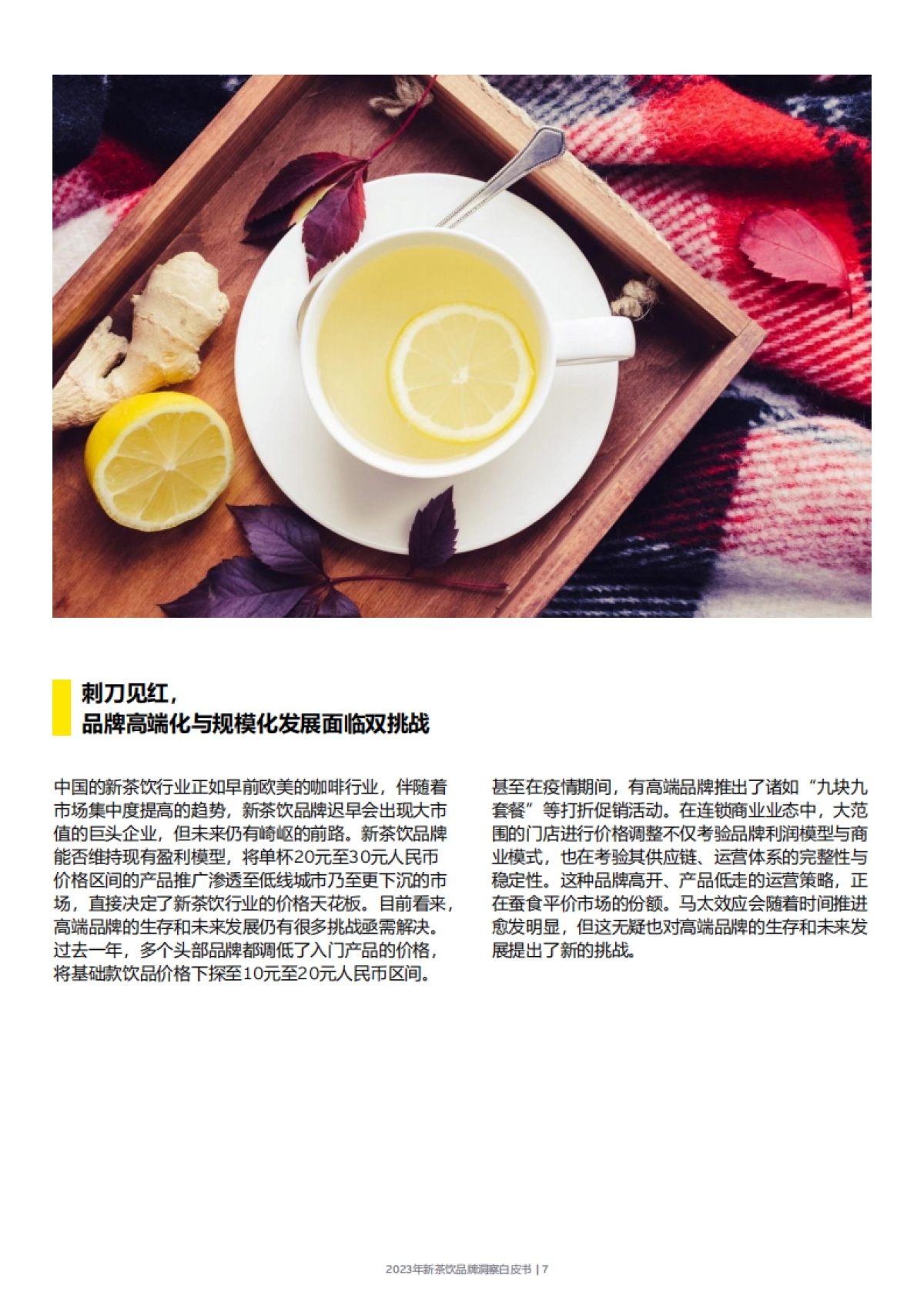 安永：2024年新茶饮增长洞察白皮书_第7页