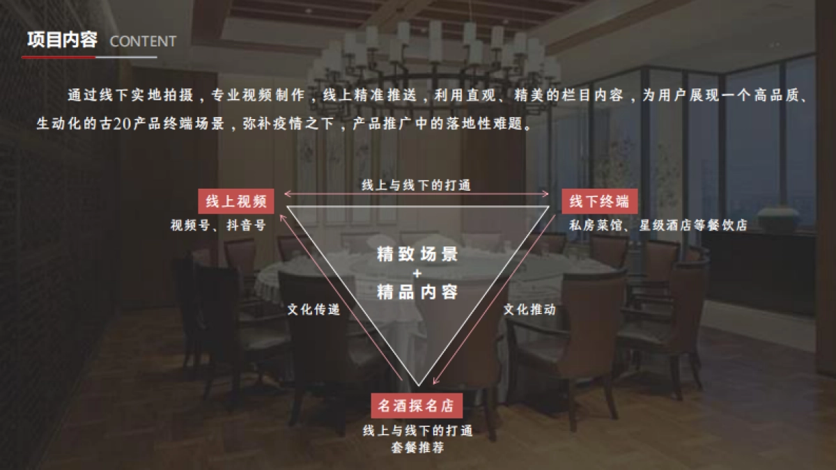 古井贡白酒古20视频栏目服务方案短视频推广策划案_第6页