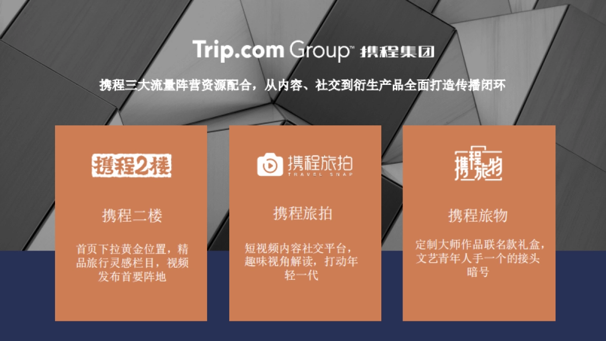 【携程】《名家大师巡游》招商方案_第6页