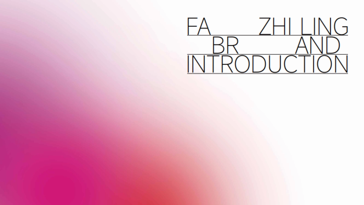 2023法姿伶化妆品品牌全案设计方案_第3页