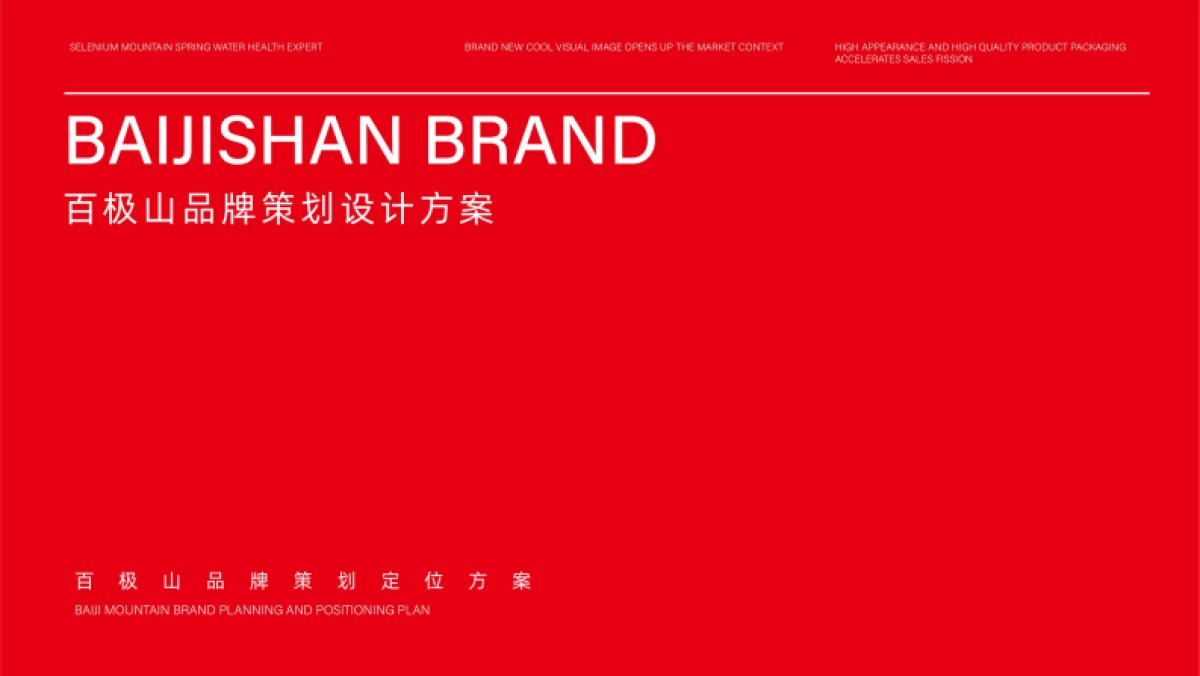 2023矿泉水品牌设计策划全案_第1页