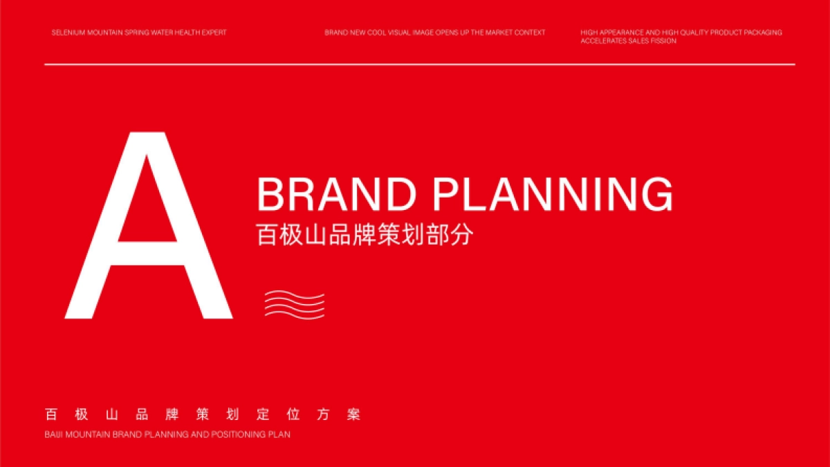 2023矿泉水品牌设计策划全案_第2页
