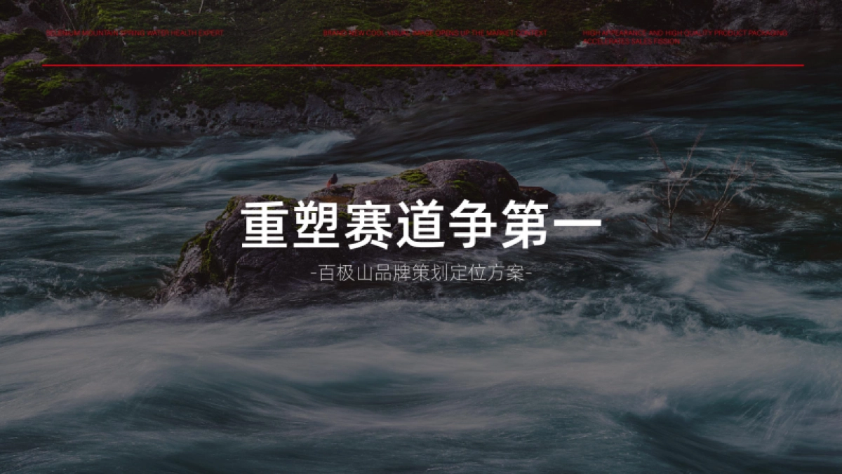 2023矿泉水品牌设计策划全案_第3页