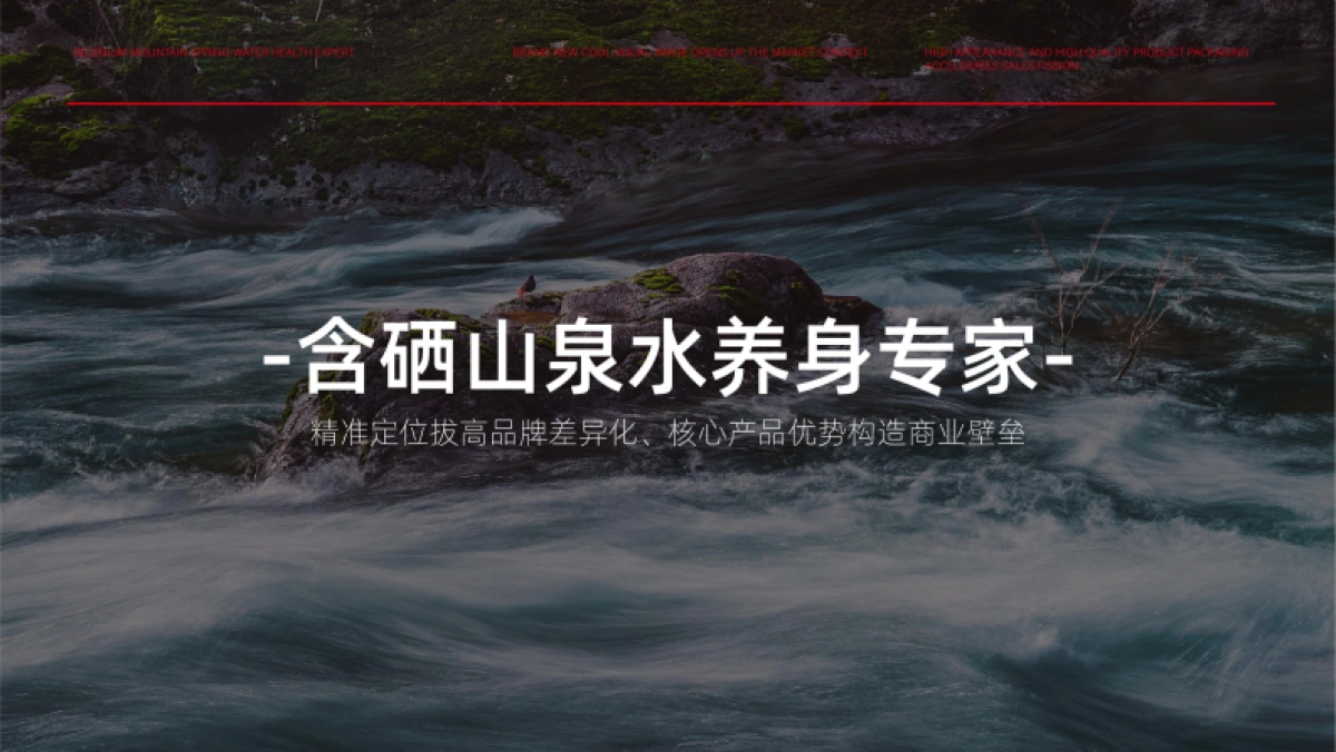 2023矿泉水品牌设计策划全案_第4页