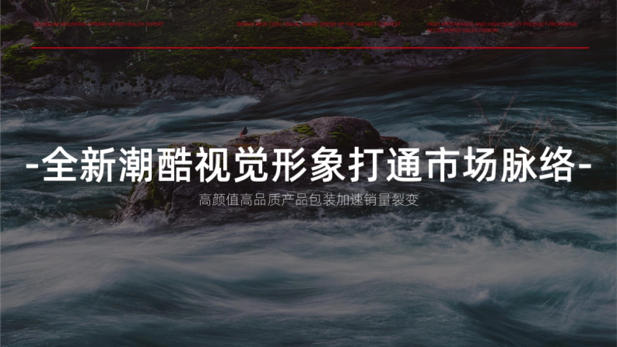 2023矿泉水品牌设计策划全案_第5页