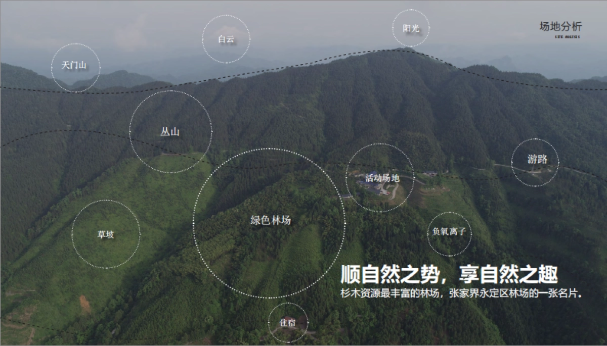 2023森林康养基地设计方案_第8页