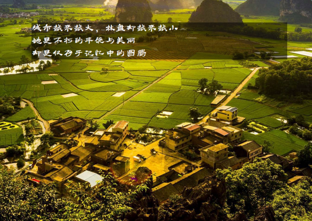 2023天府林盘竹韵原乡庄园示范区景观设计方案_第3页