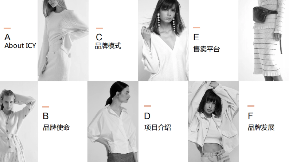 ICY全球设计师平台品牌介绍_第2页