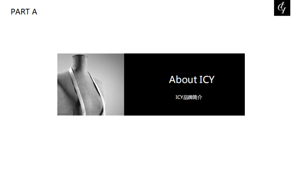ICY全球设计师平台品牌介绍_第3页