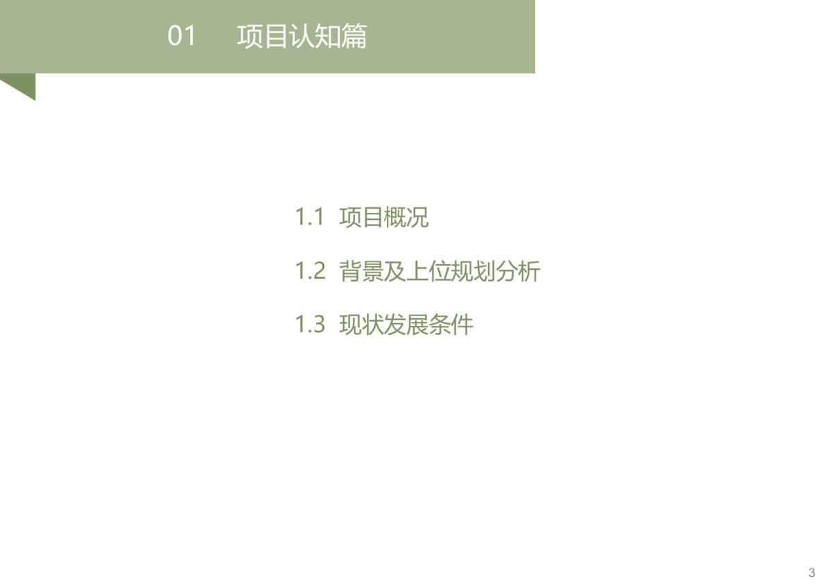 安徽霍山霍山石斛产业园规划设计_第3页
