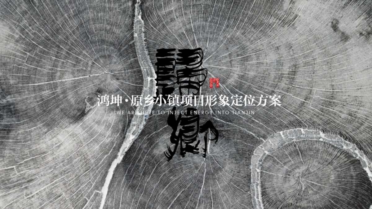 典晶创艺-鸿坤原乡小镇形象定位与推广方案最终_第1页