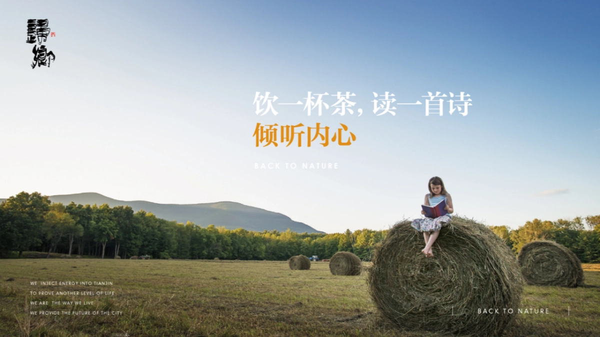 典晶创艺-鸿坤原乡小镇形象定位与推广方案最终_第10页