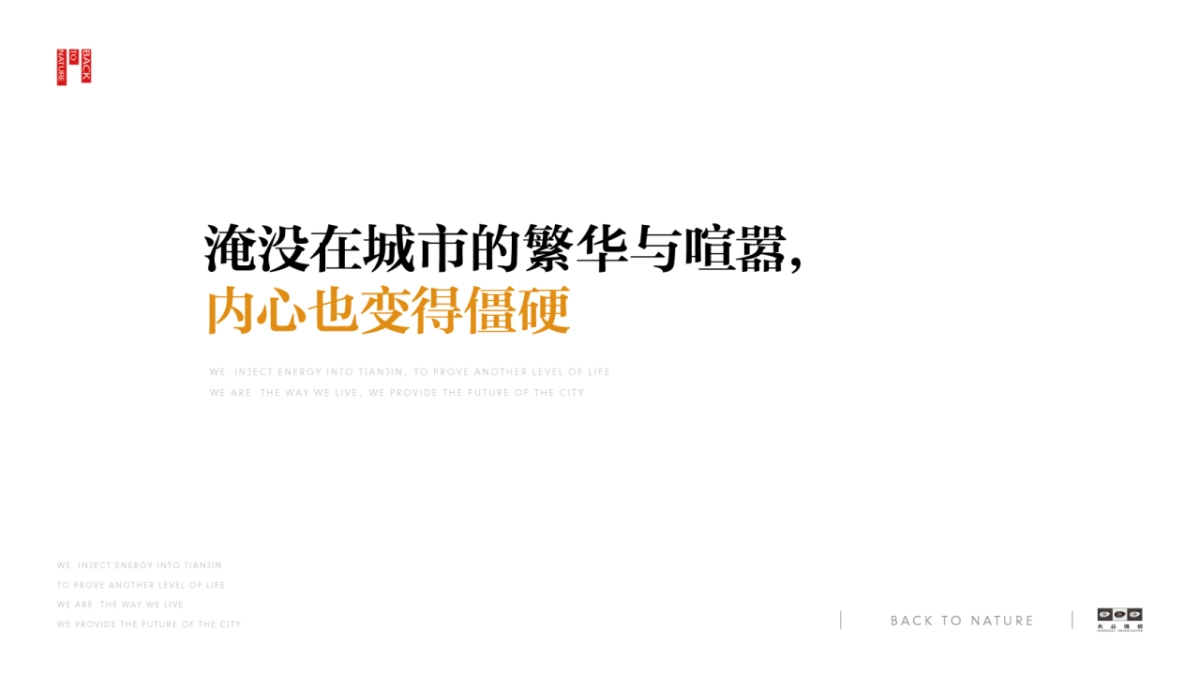 典晶创艺-鸿坤原乡小镇形象定位与推广方案最终_第3页