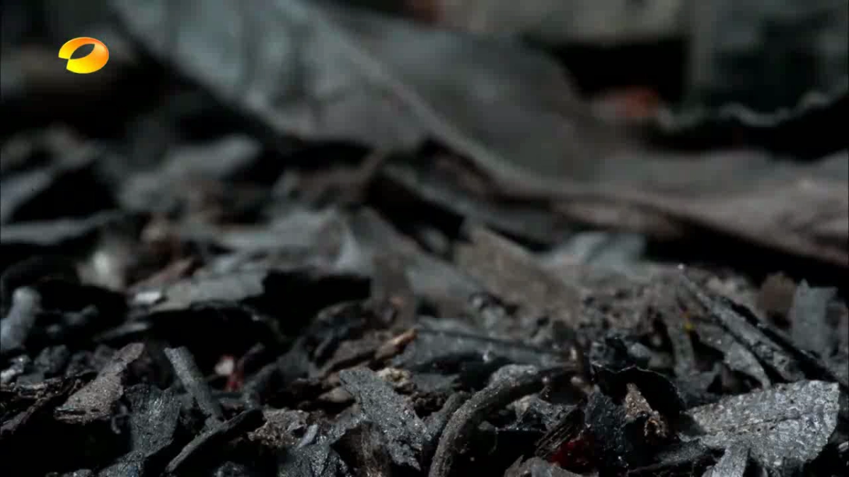 典晶创艺-鸿坤原乡小镇形象定位与推广方案最终_第7页