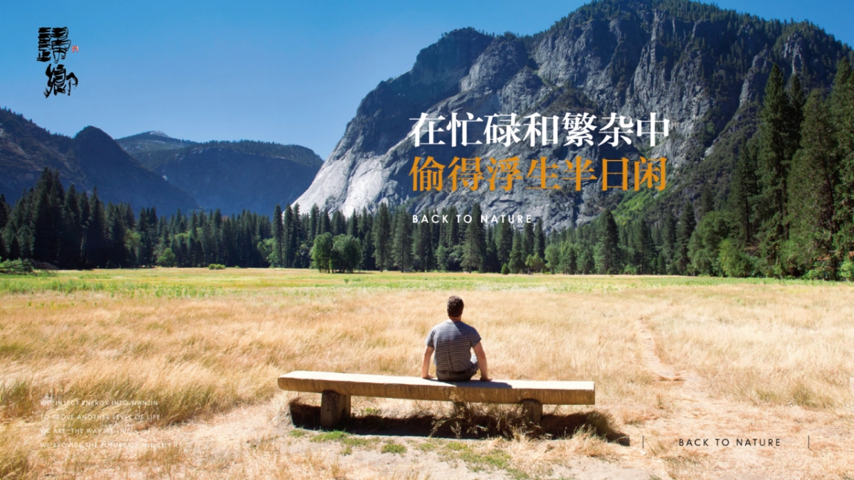 典晶创艺-鸿坤原乡小镇形象定位与推广方案最终_第8页