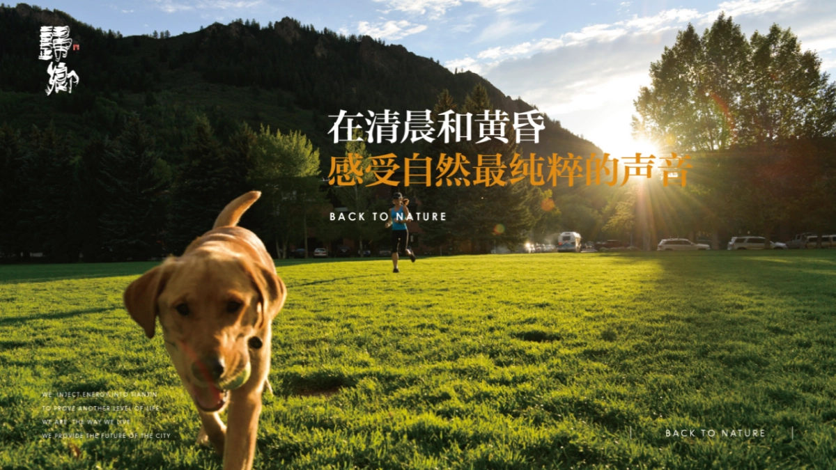 典晶创艺-鸿坤原乡小镇形象定位与推广方案最终_第9页