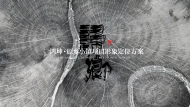 典晶创艺-鸿坤原乡小镇形象定位与推广方案最终