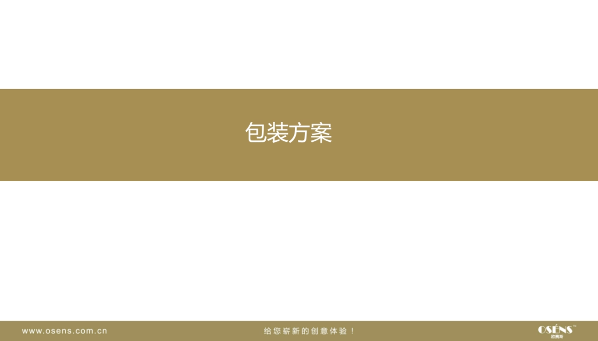 格义原生态纸LOGO包装方案_第4页