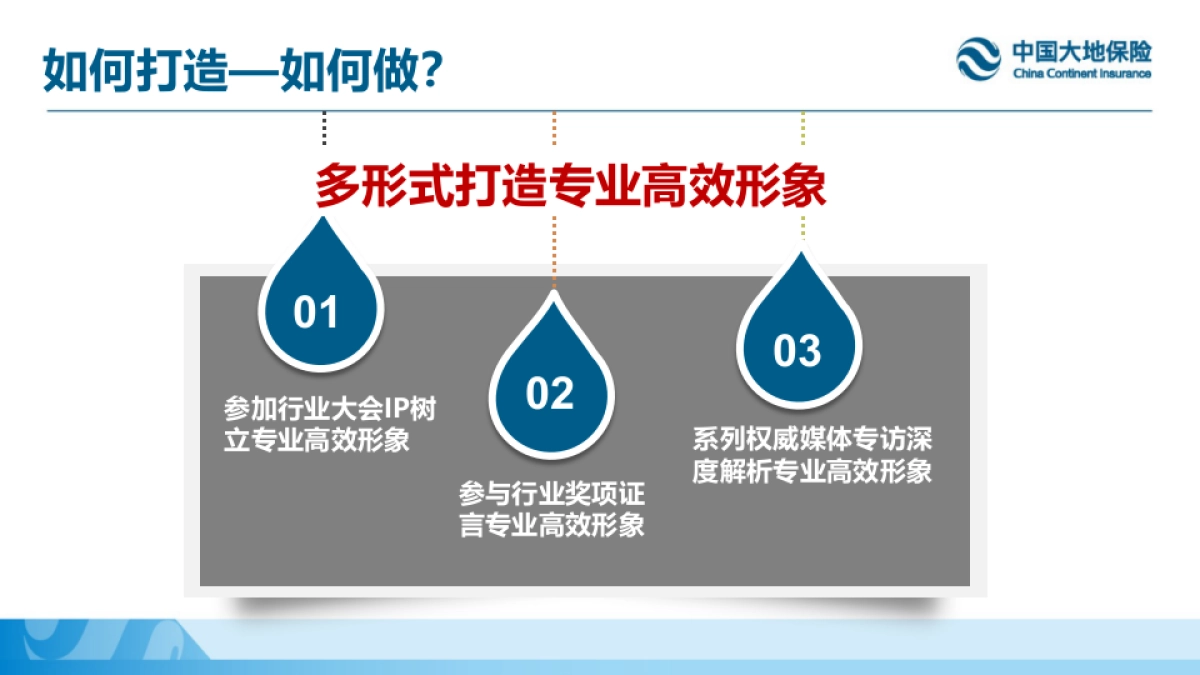中国大地保险领导人包装方案_第10页