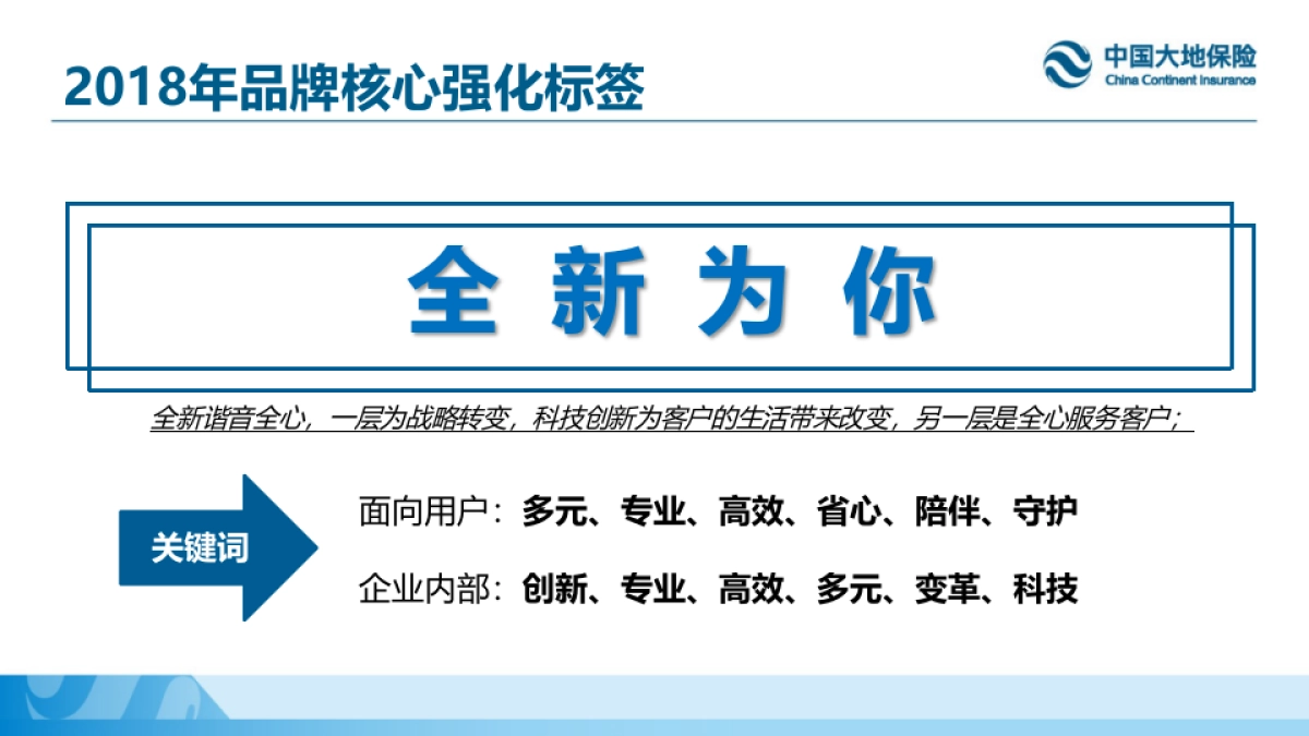 中国大地保险领导人包装方案_第5页