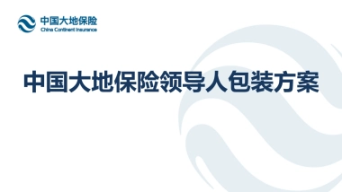 中国大地保险领导人包装方案