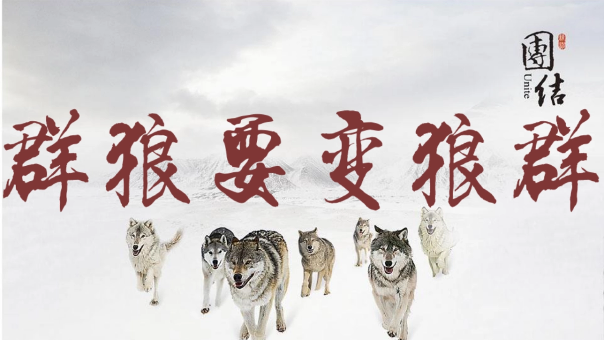 万达文化娱乐全年公关规划方案_第10页