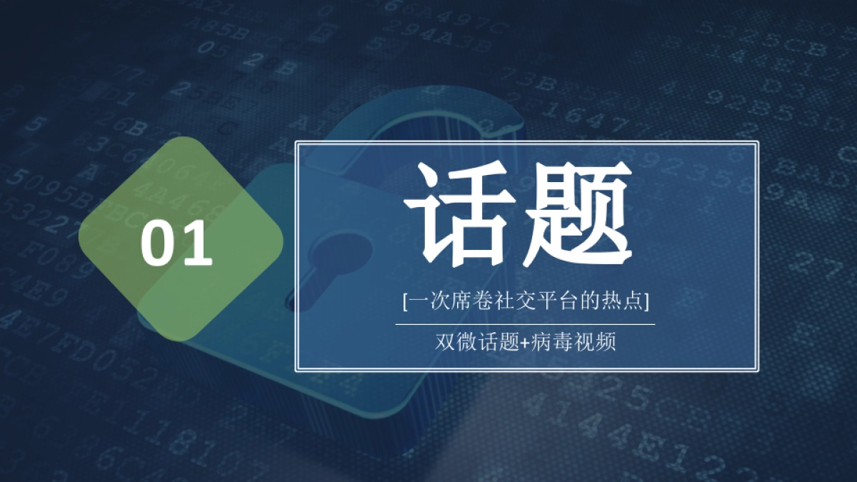 2021德技优品&新浪家居合作推广案_第10页