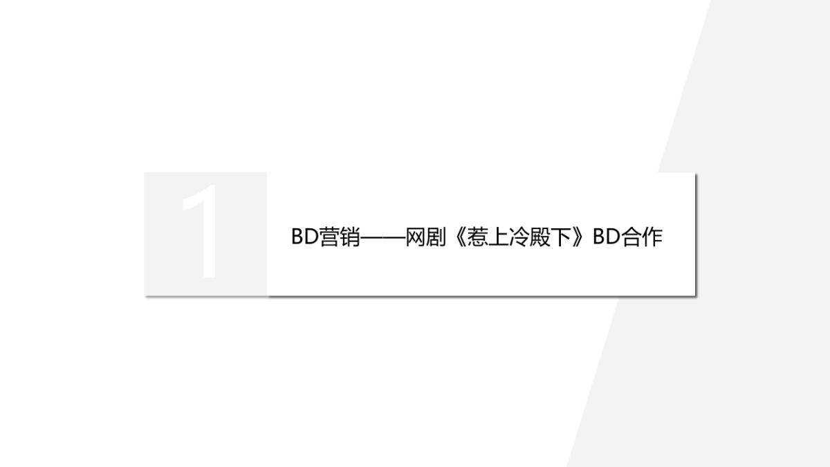 ALL-J合作建议方案_第5页