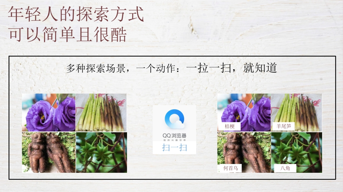 QQ浏览器《野生厨房》合作案_第4页