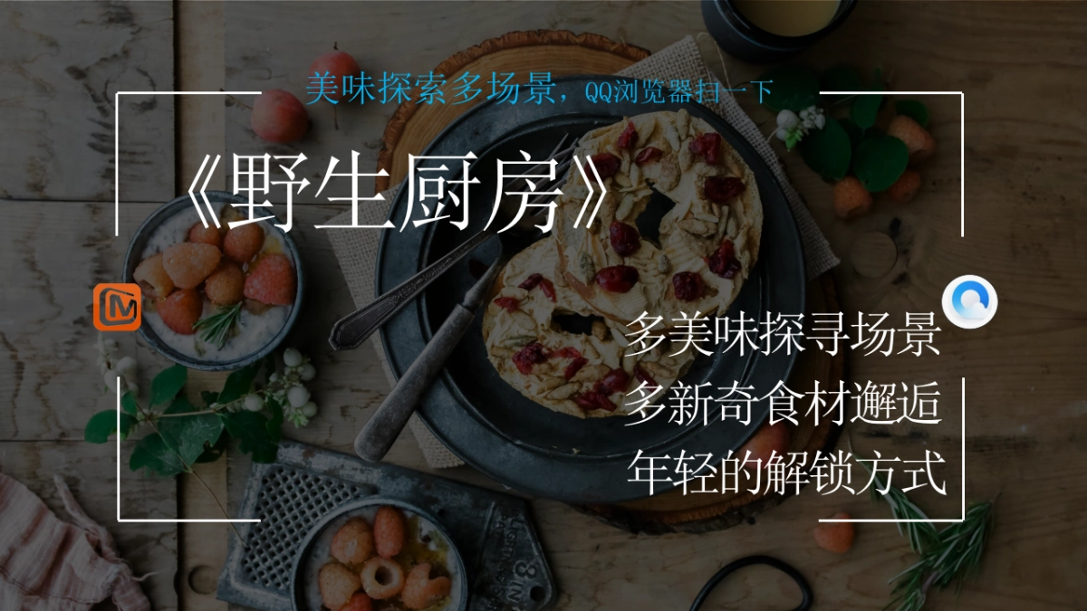 QQ浏览器《野生厨房》合作案_第5页