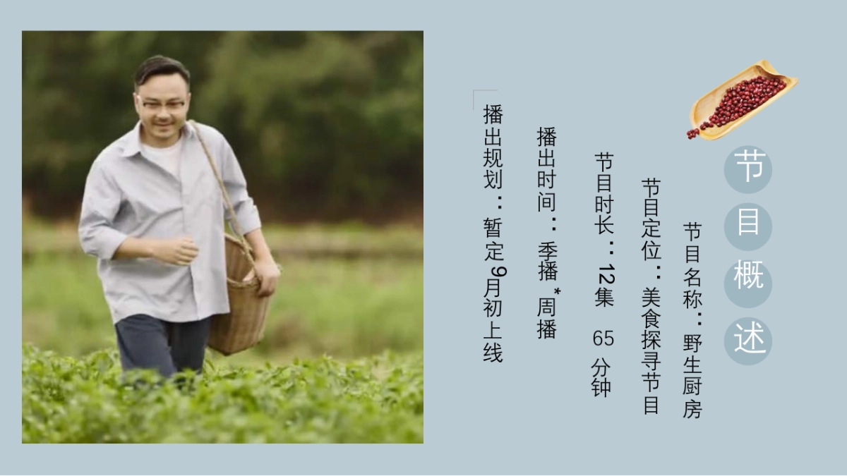 QQ浏览器《野生厨房》合作案_第9页