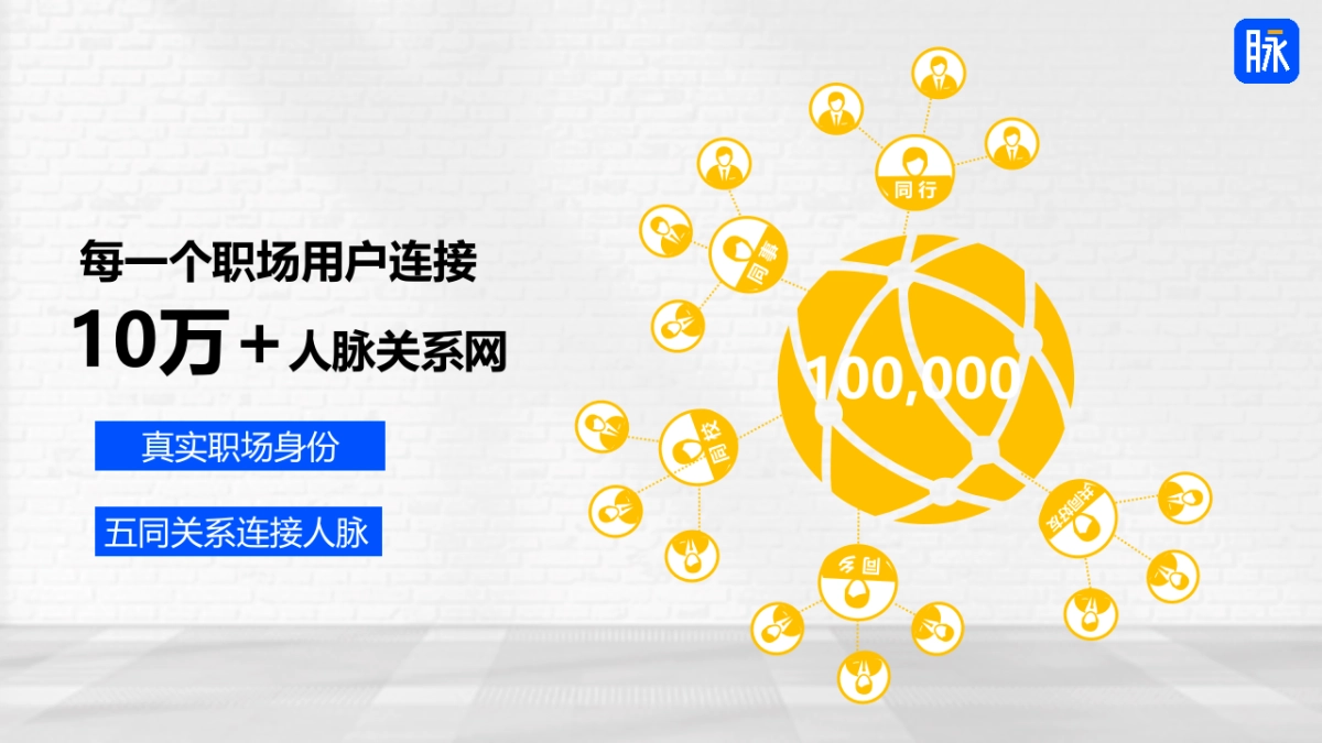 Swisse护肝片&脉脉营销合作方案_第8页