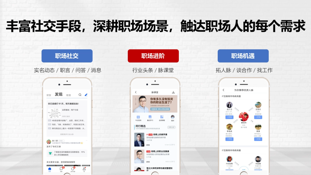 Swisse护肝片&脉脉营销合作方案_第9页